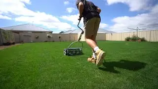 First Mow On My Renovated Lawn // 20 Days after Fixing my Lawn