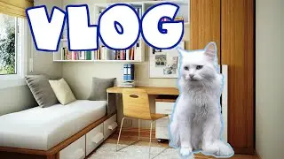 Влог со Снежком!😍🐱❤