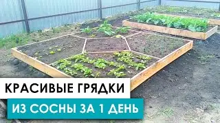 ▶️ Деревянные ГРЯДКИ  СВОИМИ РУКАМИ   грядки из досок семья Елькиных
