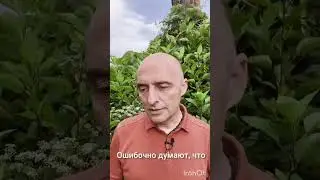 Я ничего не хочу...