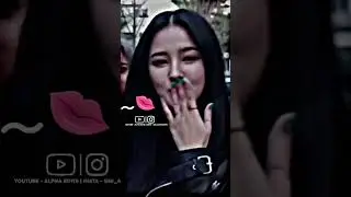 Nancy momoland