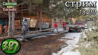 2 апреля ⚫️ Свиноводческий консилиум