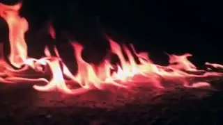 Beebilõust - Nokturna (VIDEO)