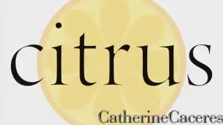 Citrus Amv Trailer the channel