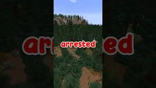 People have been Arrested because of Minecraft