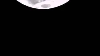 01 - Pássaro e Lua Quarto Crescente, 68% Iluminada, Idade 9 dias.