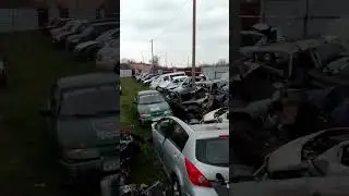 Арест и пожар, мать инвалид 1 группы, владелец Ford Mondeo чуть не сгорела
