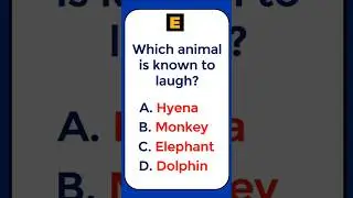 General Knowledge Quiz | English Quiz #generalknowledge #gk #gkquiz #gkinhindi