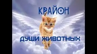 КРАЙОН. Души ваших животных!
