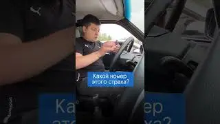 Жиза каждого водителя!