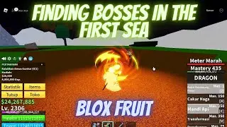 getting beat to bosses at the first sea - Blox Fruit