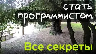Все секреты: как стать программистом в 2021