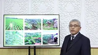 Такрорий ва оралик экинларни ем-хашак сифатида етиштириш