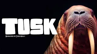 CH5 - Nature Documentary - Song of the Seal: The Ways of the Walrus (1997)