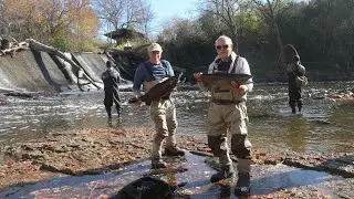 Coho salmon on a hook  Кижуч на крючке