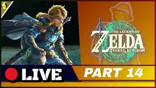 Way too Many thing to do in this game - Let's Play Legend of Zelda Tears of the Kingdom Part 14