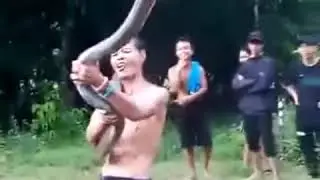 SOK JAGO MAIN ULAR MATI DI GIGIT ULAR