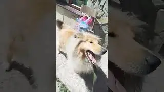 токатока