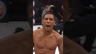 AJ McKee is clinical 🎯💥 #mma