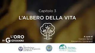 L'ORO DI GIOVANN - L'albero della Vita
