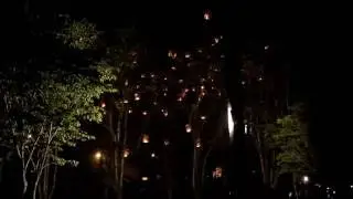 Pelepasan Lampion Borobudur 2017