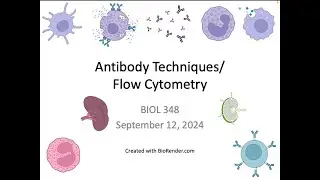 Immunology Fall 2024: Lecture 8 Flow Cytometry