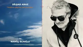 Dilşad Araz 