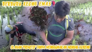 BERBURU KEONG MAS + OLAHAN TANPA MINYAK GORENG