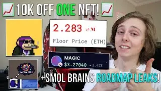 HOW I MADE $10,000+ OFF ONE NFT PROJECT IN 2022... | SMOL BRAINS NFT Roadmap Leaks + Progress
