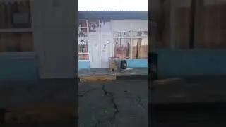 Радиогазета  