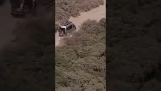 #short