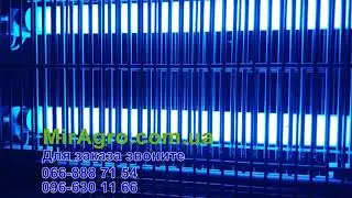 Ловушка насекомых BONA, уничтожитель насекомых в работе