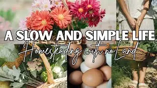 Creating A Backyard Homestead Without Land | Slow Simple Living