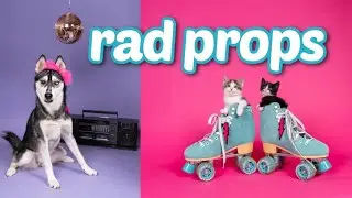 Idea to Image: Selecting Props for Pet Photography