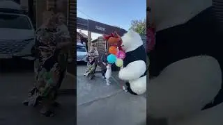 #panda
