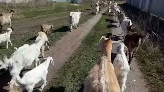 Когда накрывает отчаяние