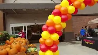 Grocery Outlet # 382 - South Hayward