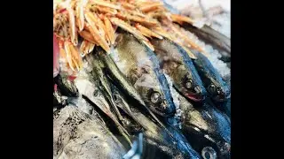 Reimagining the US Seafood Import Monitoring Program