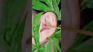 Satisfying  and relaxing ASMR sound and ASMR  Video For sleeping  Shorts 