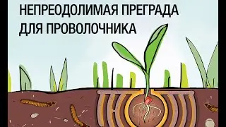 ФОРС® ЗЕА