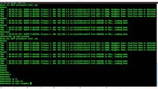 OSPF DR BDR Election on Cisco IOS Router