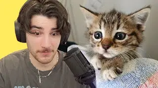 Try not to Cry