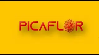 Picaflor. Voces Jacaltecas.