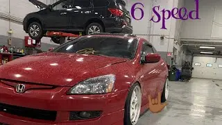 2004 Honda Accord v6 6mt walkaround