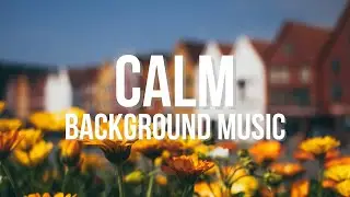 High Hopes - Acoustic Guitar Instrumental Music | No Copyright