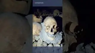 Париж стоит на костях шести миллионов человек