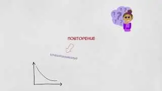 Как правильно повторять? Карточки и Кривая забывания!