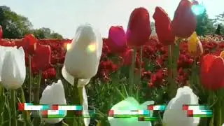 Весна!