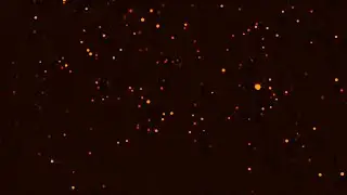 Red Light Particles Background Video Effect, Black Screen Effects, Green Screen Effects