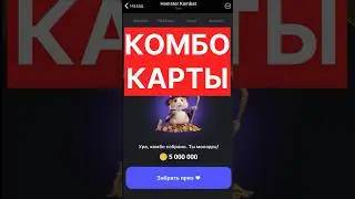 Hamster КОМБО КАРТЫ 